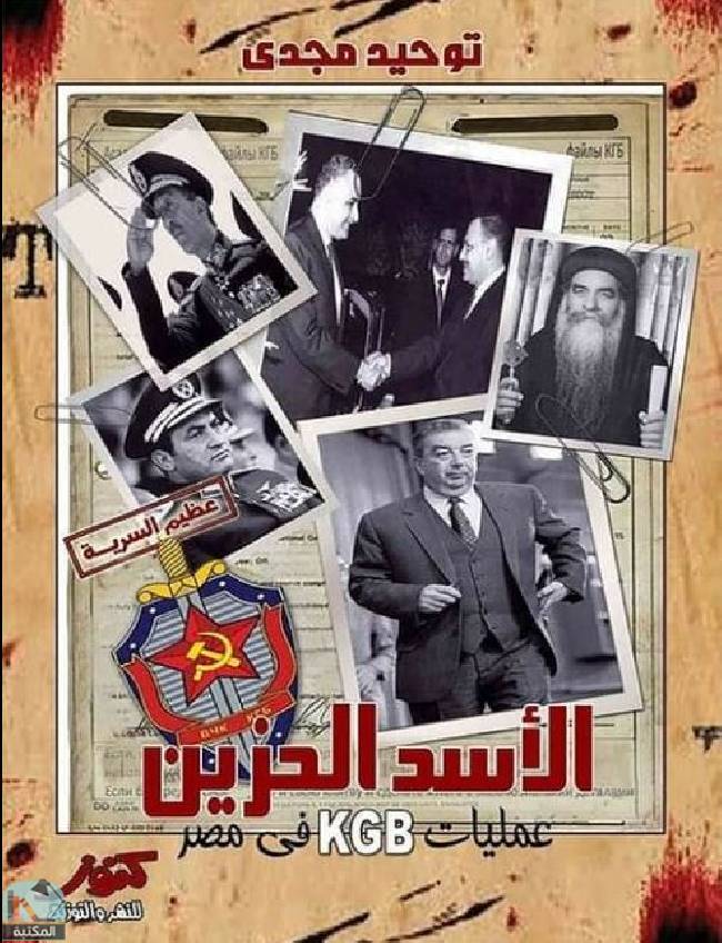 قراءة و تحميل كتابكتاب الأسد الحزين  PDF