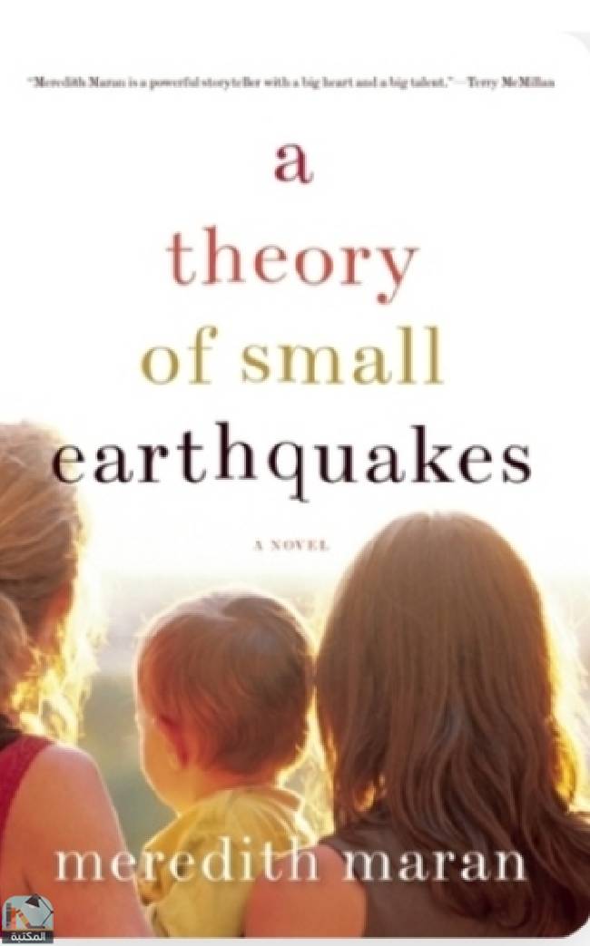 قراءة و تحميل كتاب A Theory of Small Earthquakes PDF