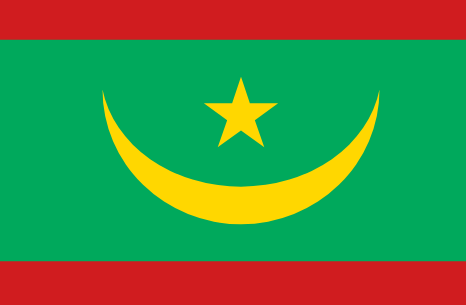 مؤلفون الموريتانيون