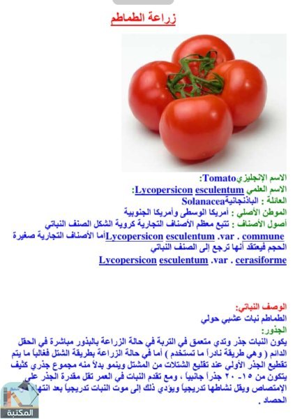 اقتباس 1 من كتاب زراعة الطماطم
