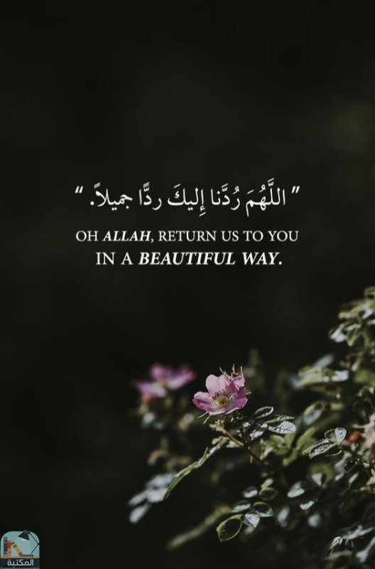 اقتباس 351 من  القرآن الكريم