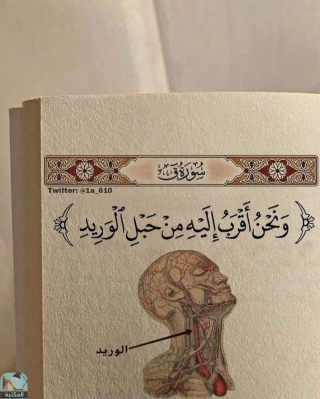 اقتباس 390 من  القرآن الكريم