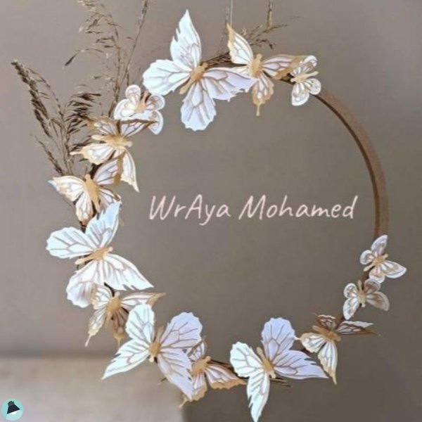 Wr/Aya Mohamed Hamoda
