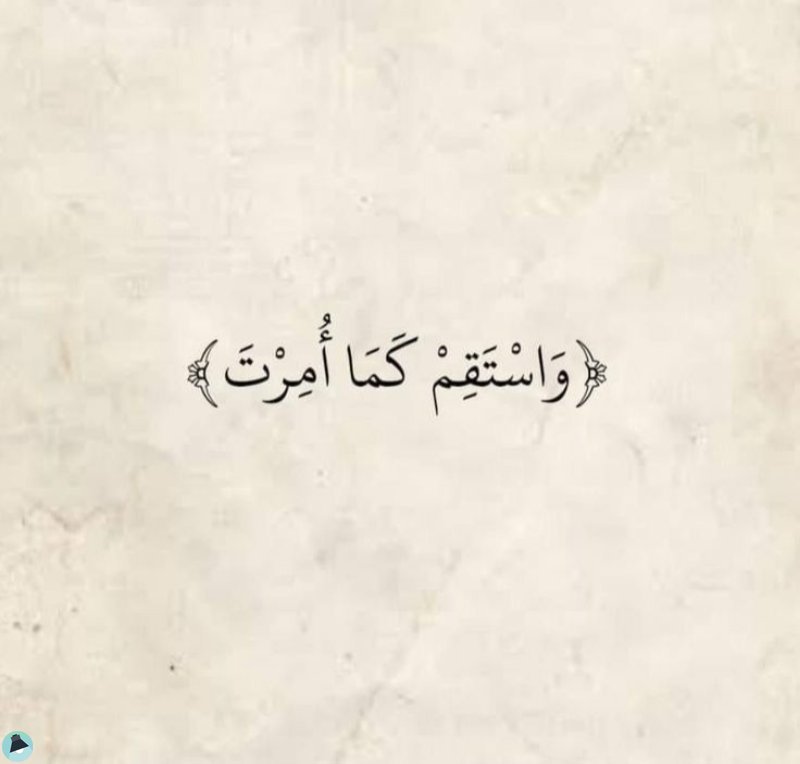 اقتباس 538 من  القرآن الكريم