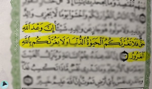 اقتباس 569 من  القرآن الكريم