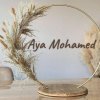 Wr/Aya Mohamed Hamoda