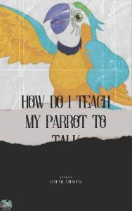 how do i teach my parrot to talk 