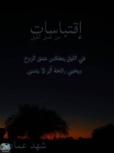 اقتباسات من عمق الليل 
